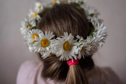 Daysies Stock Photos