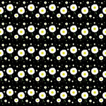 Daysy seamless pattern on black background Stock Illustration
