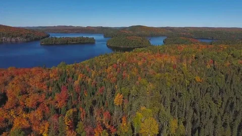 Daytime in Algonquin Provincial Park at fall Stock Footage 69075840