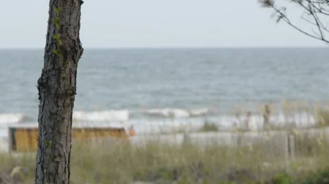 Daytime Beach Stock-Footage 7907413
