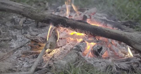 Daytime Campfire Close Up with Two Angles 4K Stock Footage 221585802