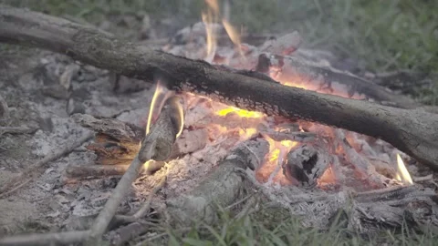 Daytime Campfire Close Up with Two Angles Angles 1080 Stock Footage 231142995