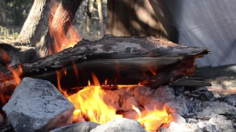 Daytime campfire Stock Footage 36783522