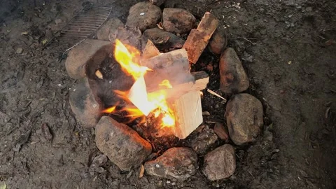 Daytime campfire in stone ring burns fresh cut logs, wire grill nearby Video stock 225578577