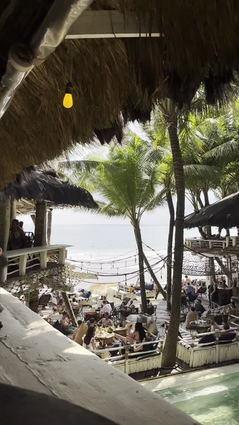 Daytime chilling with coconut and drinks at La Brisa Bali Beach Club Indonesia Stock Footage 237176612