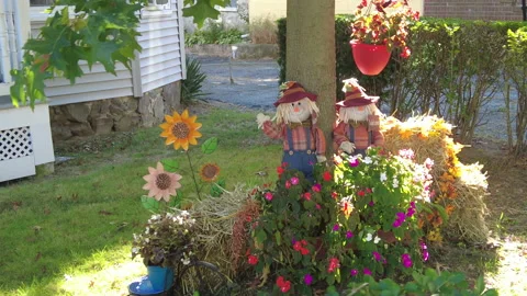 DAYTIME DECORATIONS Video stock 187004064