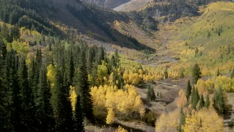 Daytime Fall Colors over Mount Timpanogos Stock Footage 221381417