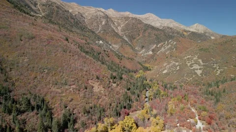 Daytime Fall Colors under Mount Nebo in Utah Stock Footage 221381441