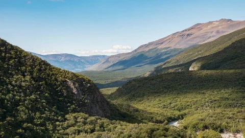 Daytime in the forest of the park Stock Footage 113932377