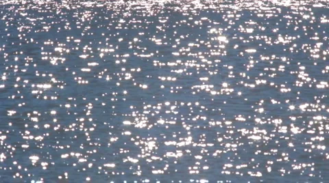 Daytime Lake Sparkle 動画素材 922523