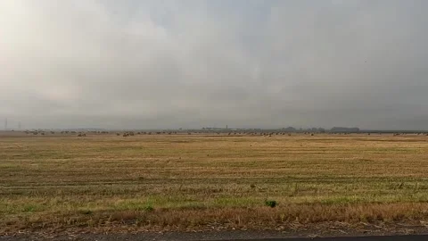 Daytime landscape of harvested fields and straw at the speed of a car Stock Footage 253050698