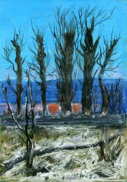 Daytime landscape with trees. Stock Illustration