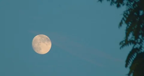 Daytime Moon 4K Stock Footage 113316707