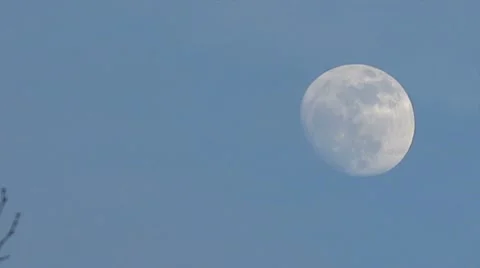 Daytime Moon Vidéo 12014723