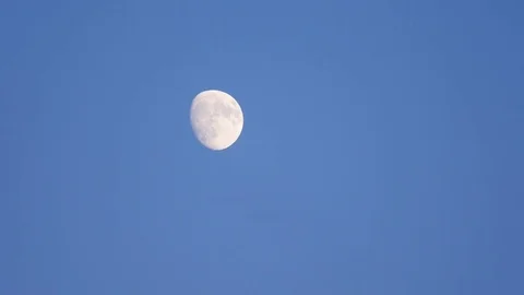 Daytime Moon Stock Footage 81530277
