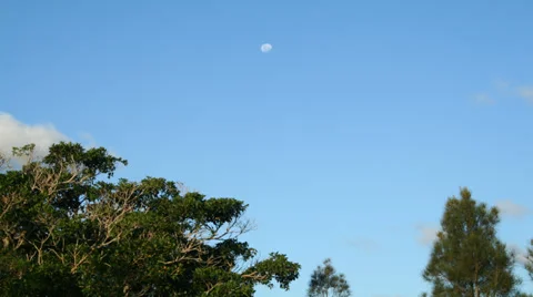 Daytime Moon Timelapse Stock Footage 34123503