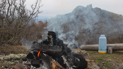 Daytime Mountain Campfire in Georgia Stock Footage 238861652