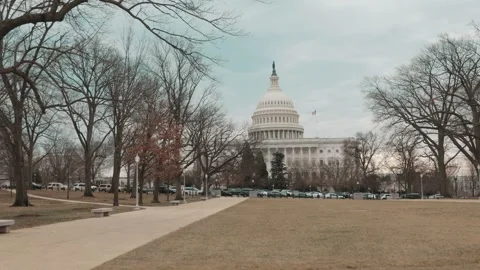 Daytime shot of US Capitol Building from park in Washington, DC Stock Footage 245752597