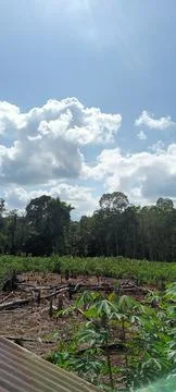 Daytime sky Stock-Fotos