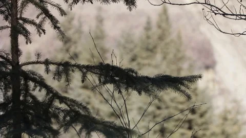Daytime Snowy valley Stock Footage 93297018