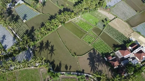 A Daytime Symphony of Fields and Homesteads Stock Footage 259939891