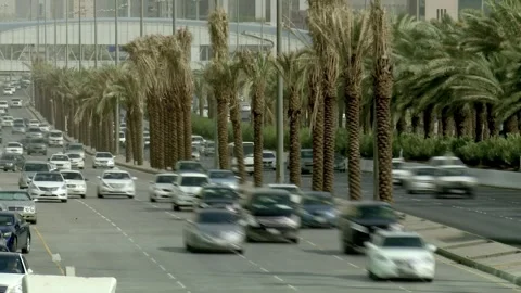 Daytime traffic time lapse along a broad Riyadh palm avenue 库存影片 346428450