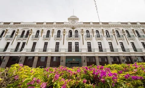 Daytime view of Edificio Luis Manuel Rojas with flower blossom Stock Photos