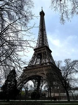Daytime view of the iconic Eiffel Tower, framed by trees against a blue sky. Stock Photos
