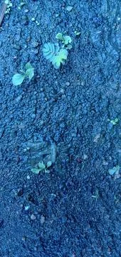 Dazzling blue 스톡 사진