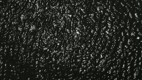 Dazzling flickering light spots similar to river surface reflection Stock Footage 334160448