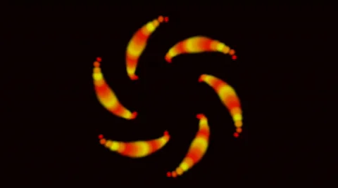 Dazzling orange flower pattern particle material romantic symbol vision idea. Stock Footage 810356