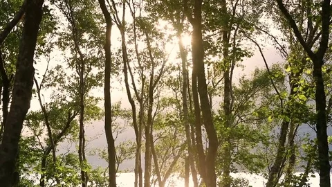 Dazzling Rays of a setting sun bounce off the flowing waters of a Scottish loch Video stock 80100225