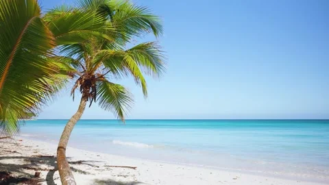 The dazzling white sandy beach merges imperceptibly into the turquoise sea. Stock Footage 237138884