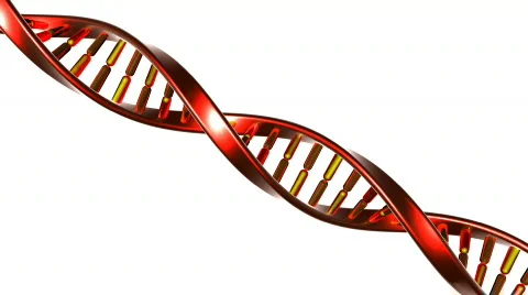 Db dna 08 hd1080 Stock Footage