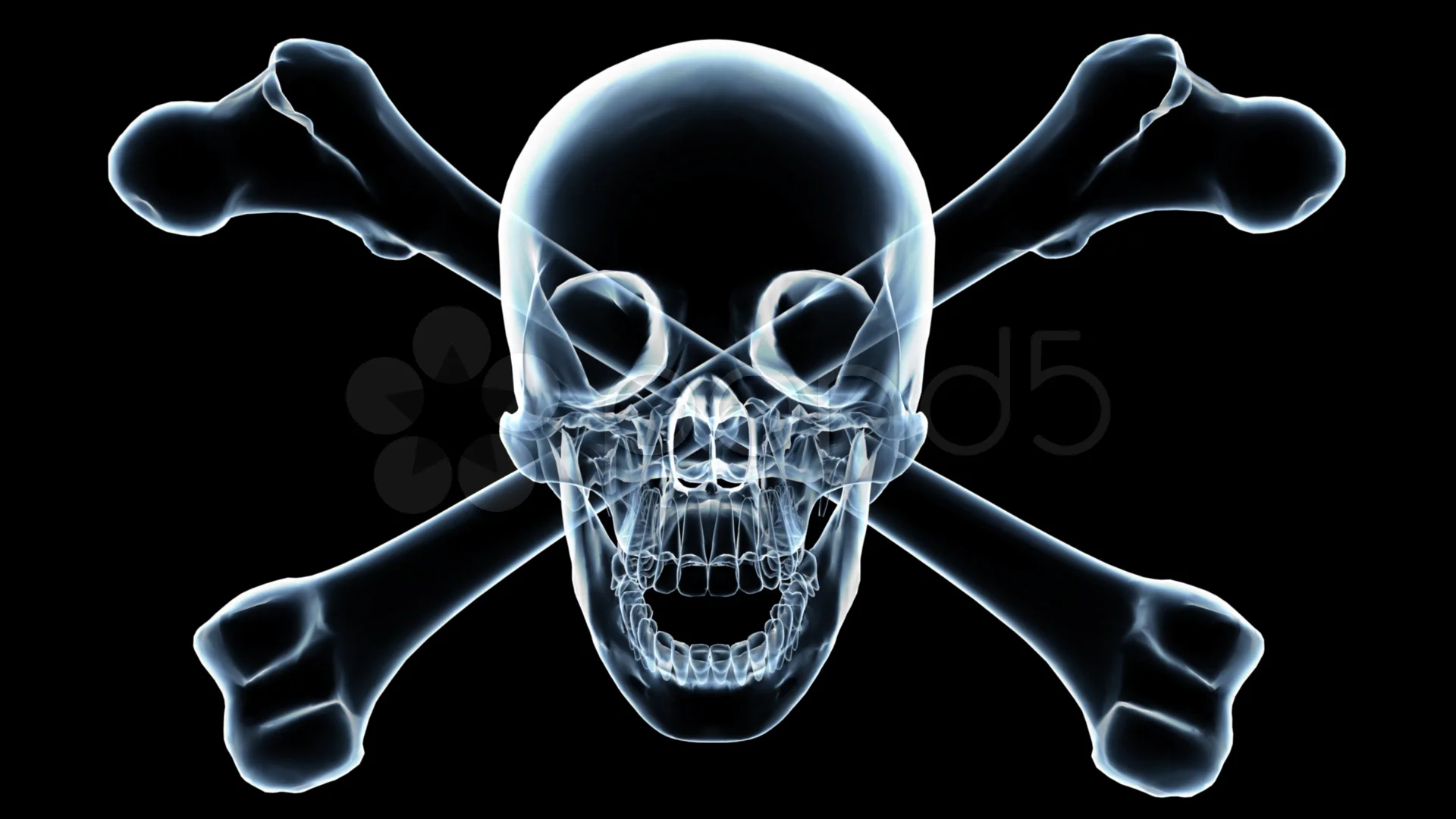 Skull and Bones on X:  / X