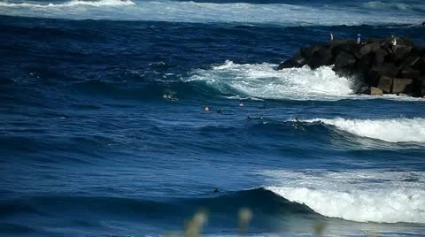 D'Bar Stock Footage 12584623