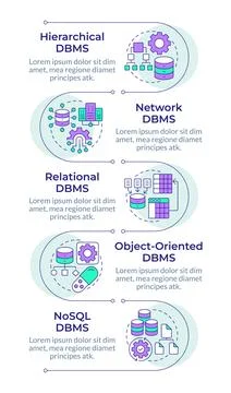 DBMS classifications infographic vertical sequence Stock Illustration