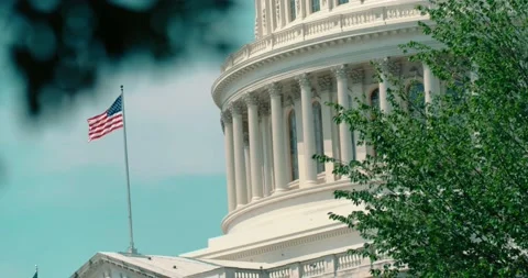 DC Broll Capitol Building Park Close up Stock Footage 193676981