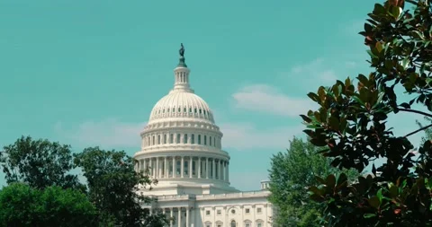 DC Broll Capitol Building Park Zoomed Stock Footage 193677087