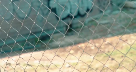 DC Broll Graffiti Through Gate Rack Stock Footage 193676077