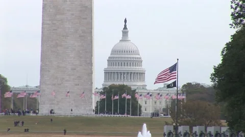 DC Capitol Building Video stock 50984147