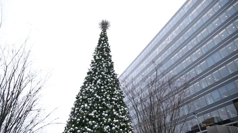 DC Christmas Tree in the Rain Stock Footage 58838331
