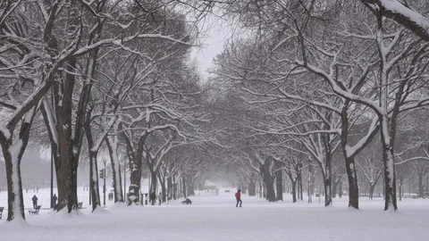 DC Mall snow Stockbeeldmateriaal 101256536