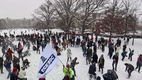 DC Snowball Fight Stock Footage 297119457