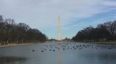 Dc tower 05 Stock-Footage 265913