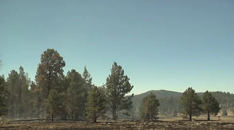 DC10 Slurry plane dropping over fire Video stock 40751611