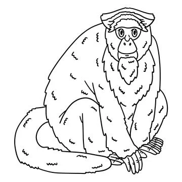 De Brazza Monkey Animal Isolated Coloring Page Stock Illustration