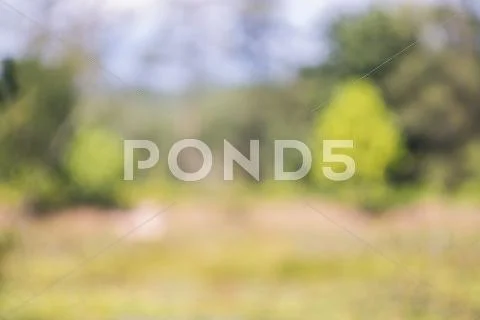 De focus abstract landscape background Stock Photos