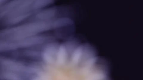 De focused colored motion gradient background Video stock 246184885