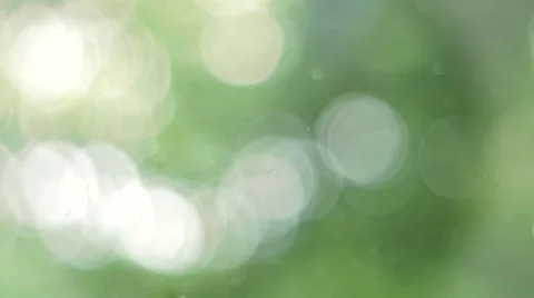 De focused of rain drops on window and trees bokeh blur background Stock Footage 51440681